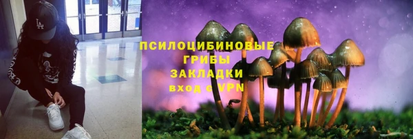 трава Алексин