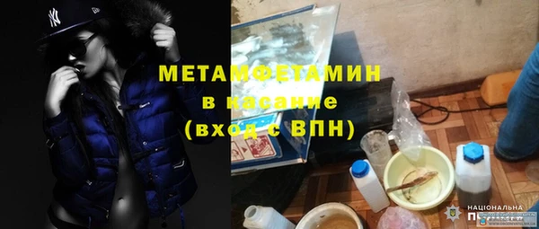 гидра Алексеевка