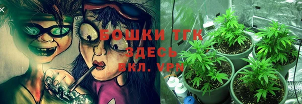 гидра Алексеевка