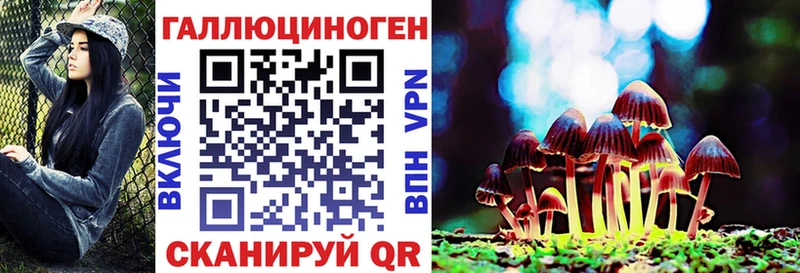 Псилоцибиновые грибы Psilocybe  Тула 